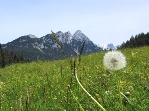 Toller Blick zurück an der Tischleralm