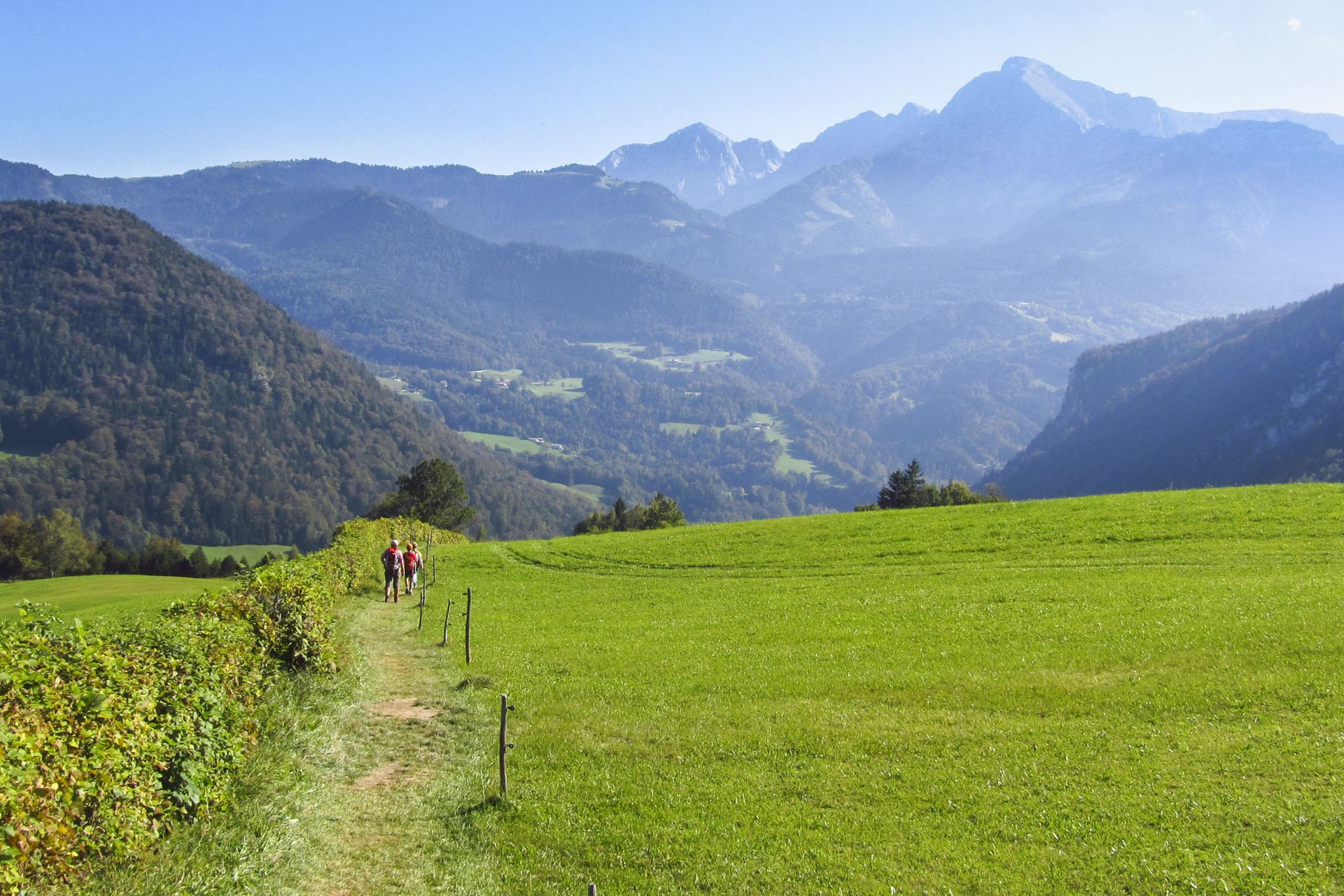 Weg zurück von Ettenberg in Richtung Kugelmühle Weg zurück von Ettenberg in Richtung Kugelmühle