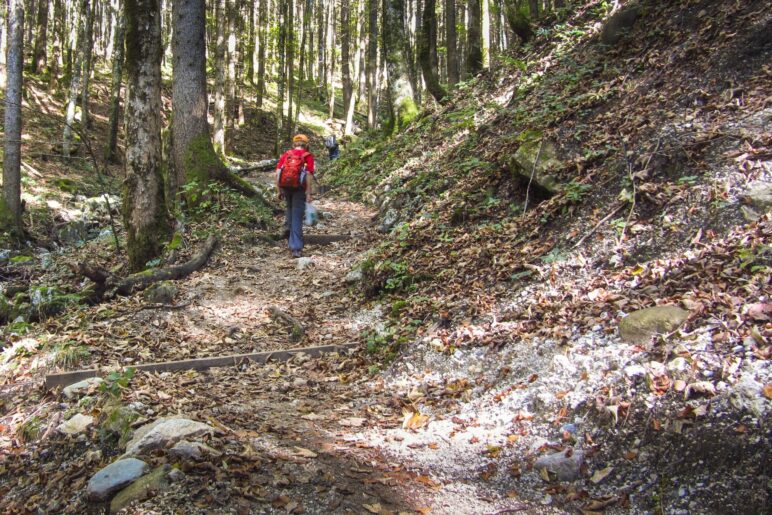 Steil bergauf durch den Wald nach Ettenberg