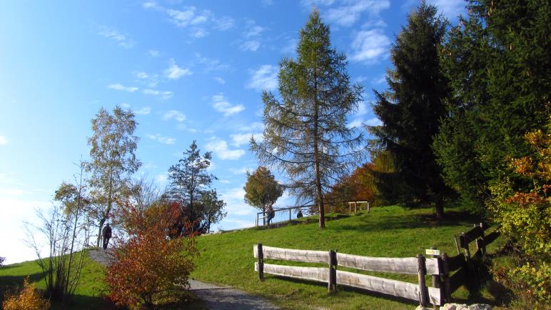 Am Museum Wald und Umwelt