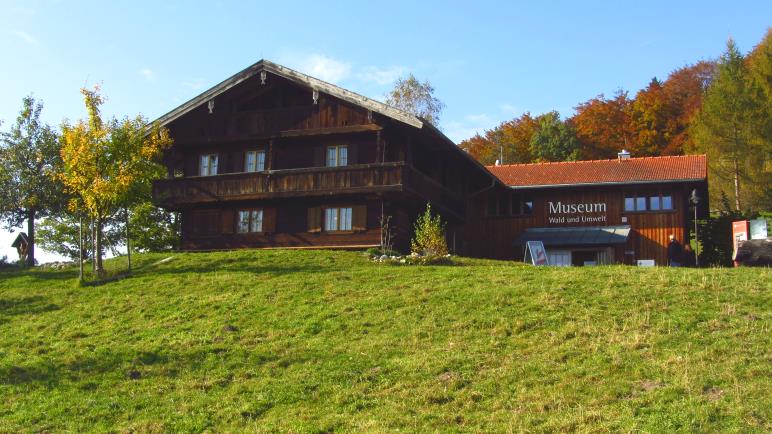 Das Museum Wald und Umwelt im alten Bauernhaus auf der Ludwigshöhe