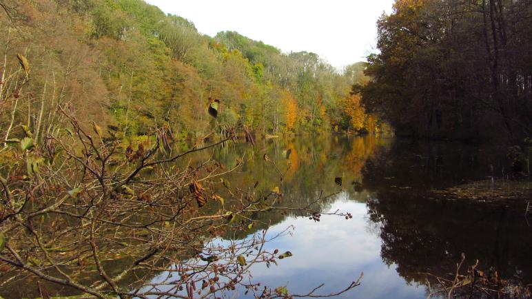 An der Ebersberger Weiherkette