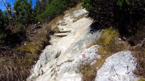Auf dem Felsweg zum Stripsenkopf