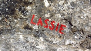 Lassie