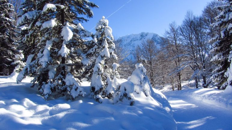Die Rodelbahn am Kranzberg mit Schnee satt an einem strahlenden Wintertag