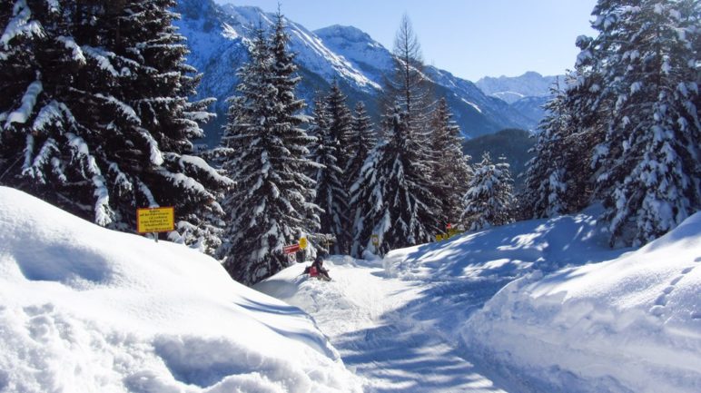 Los geht's: Der Start der Kranzberg-Rodelbahn, direkt neben der Bergstation des Lifts