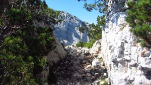 Weisser Felsweg auf dem Weg unterhalb der Cima Longino