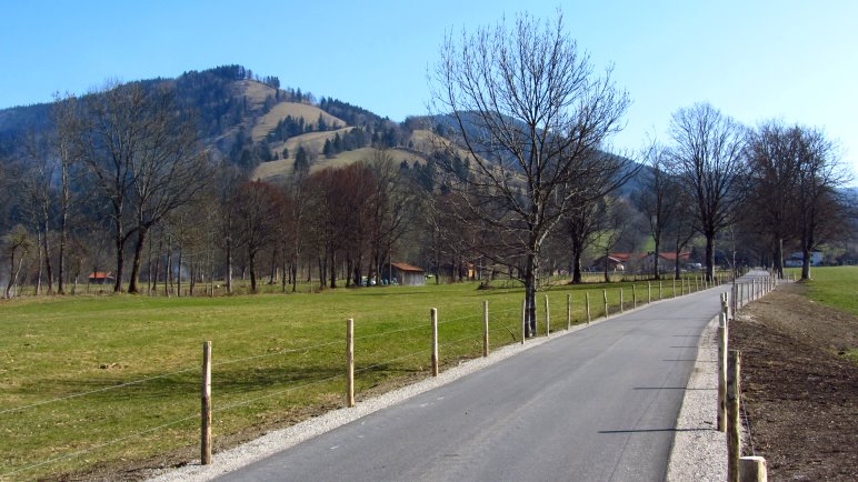 Die Allee nach Grundnern - die Sonntraten im Blick