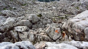 Das ist ein Wanderweg. Auch wenn es keinen Weg gibt, die Markierungen zeigen an, wo es langgeht