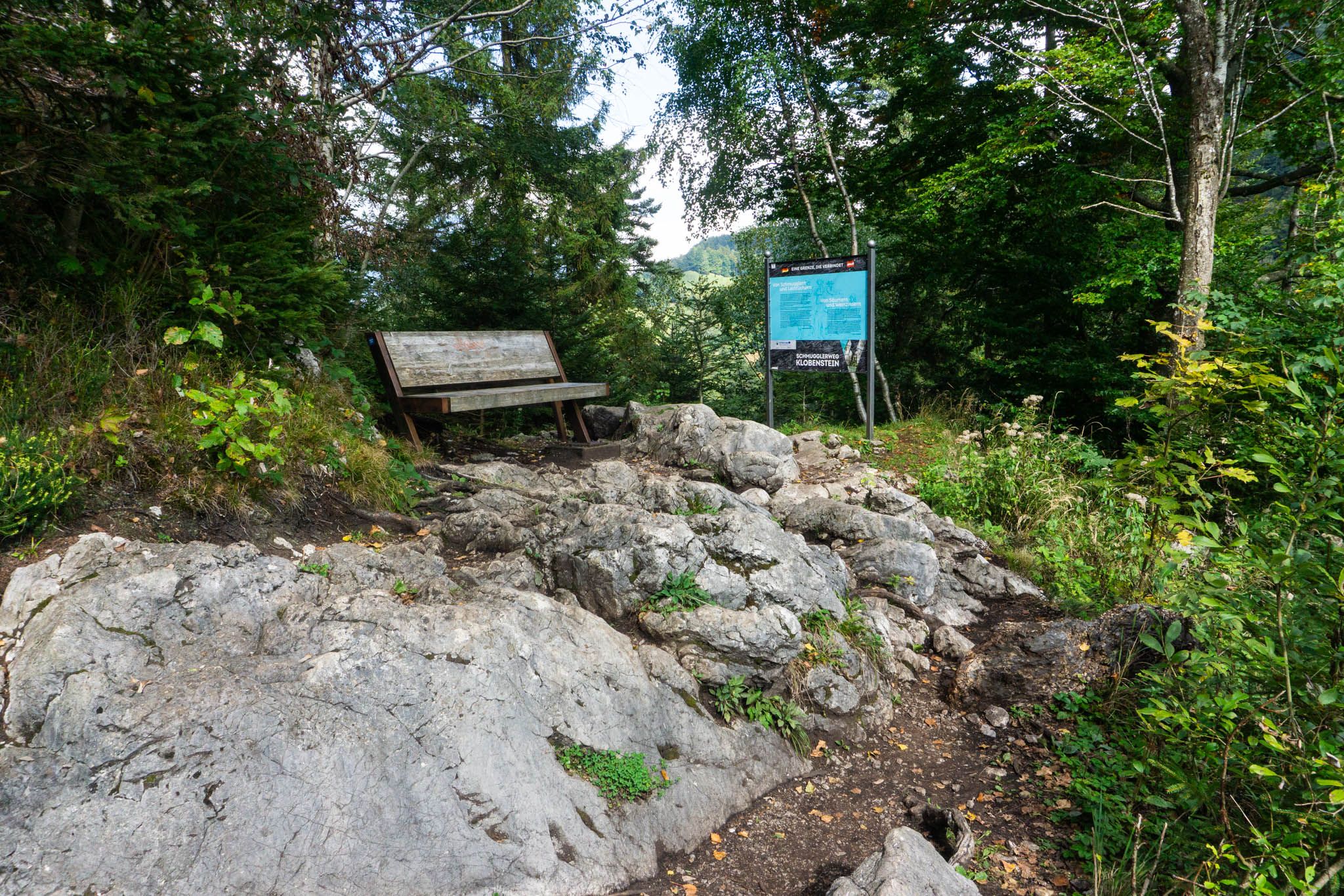 Auf dem höchsten Punkt der Wanderung. Mit Bank und Infotafel