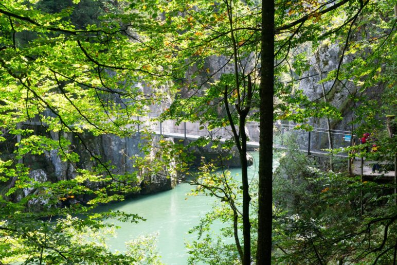 Durch die Bäume sehen wir die Brücke über die Entenlochklamm