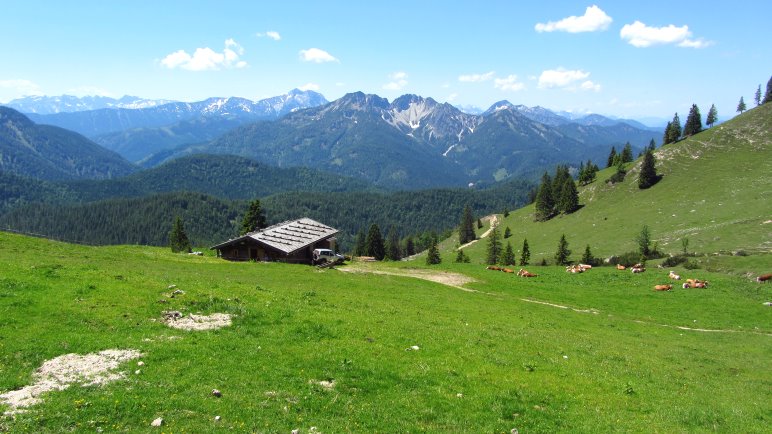 Weiter Blick über die Kümpflalm hinweg auf die Berge