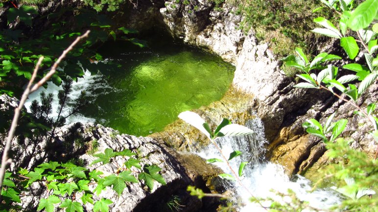 Kleine Wasserfälle und Gumpen im Pfanngraben