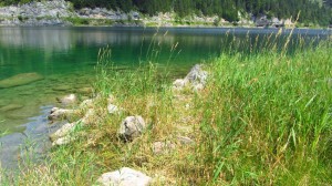 Am vorderen Gosausee