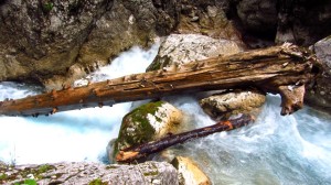 Ein mächtiger Baumstamm hat sich in der Klamm verkeilt.