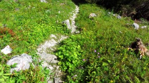 Ein schöner Bergpfad