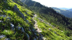 Meistens ist der Dachstein-Rundwanderweg am Gosaukamm so schmal wie hier