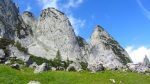 Die Felsberge des Gosaukamms