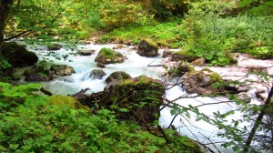 Sehr malerisch fließt der Hammersbach zwischen den Felsen hindurch.