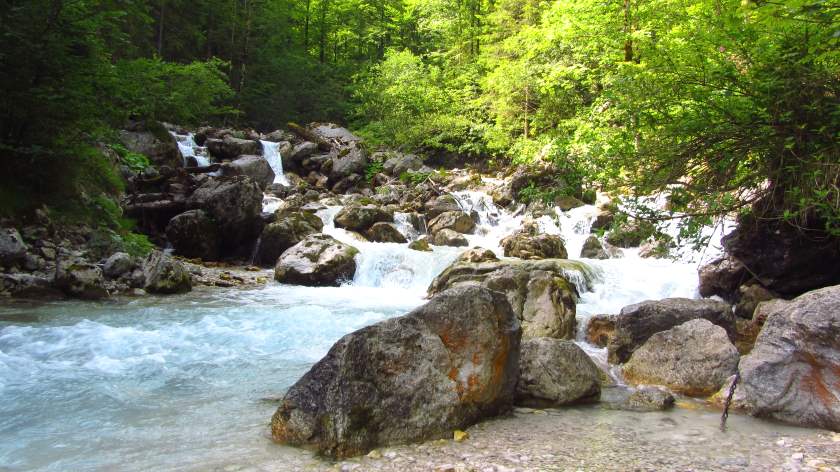 Anfangs führt der Wanderweg am Hammersbach entlang