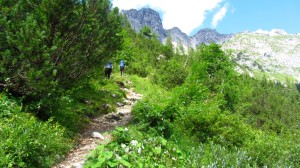 Auf dem Wastl-Lackner-Steig zur Hofpürglhütte hinauf