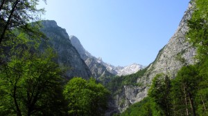 Ein schöner Blick auf die Wetterstein-Berge.