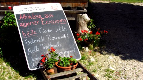 Almkäse-Freunde sollten die Hintermoar-Alm besuchen Almkäse-Freunde sollten die Hintermoar-Alm besuchen