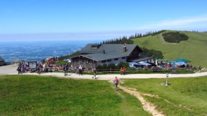 Zurück an der Steinlingalm