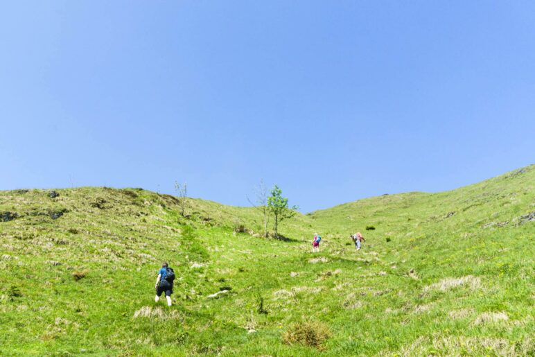 Aufstieg über Almwiesen zur Kranhorn-Hütte