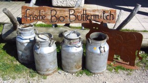 Bio-Buttermilch an der Sonnenalm