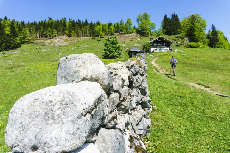 An der Trockenmauer entlang zum Almgebäude