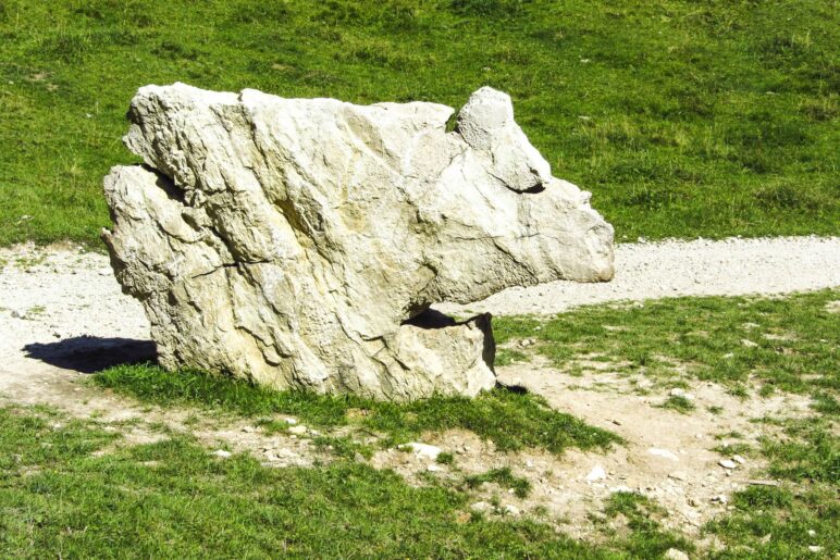 Sieht dieser Stein nicht aus wie ein Kalb?
