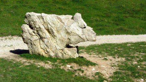 Ist der Stein so gewachsen oder ist er behauen? Oder ist es eine versteinerte Kuh? Ist der Stein so gewachsen oder ist er behauen? Oder ist es eine versteinerte Kuh?