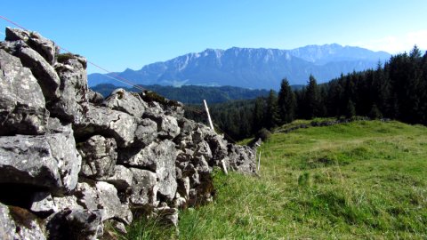 Eine Trockenmauer begrenzt die Schafweide an der Bubenau-Alm Eine Trockenmauer begrenzt die Schafweide an der Bubenau-Alm