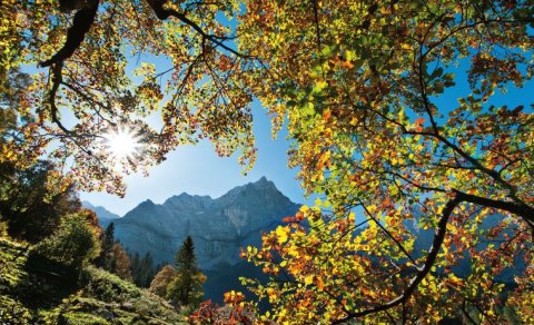 Das ideale Revier für Herbstfotos: Der Große Ahornboden - Foto: Heinz Zak Das ideale Revier für Herbstfotos: Der Große Ahornboden - Foto: Heinz Zak