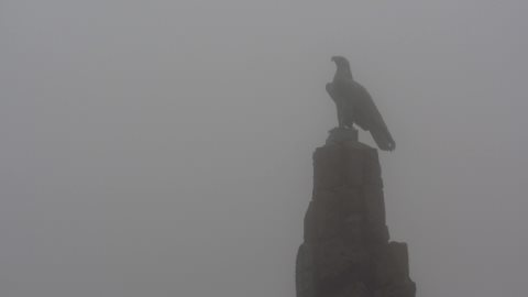 Auch das Fliegerdenkmal auf der Wasserkuppe liegt noch im Nebel