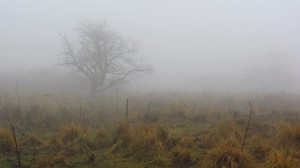 Nebelwelt an der Wasserkuppe