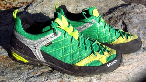 Die Salewa Firetail GTX Approach Schuhe