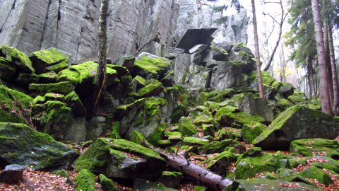 Wilde Felsen im Wald - die Steinwand