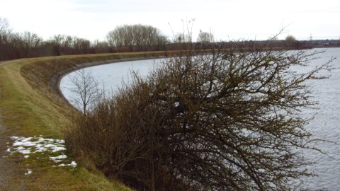 Auf dem Speichersee-Deich Auf dem Speichersee-Deich