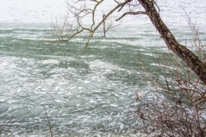 Eissplitter vor dem Speichersee-Damm