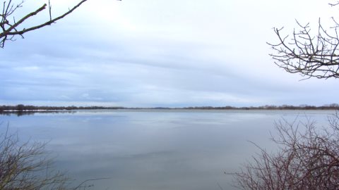 Ein weiter Blick über den Ismaninger Speichersee Ein weiter Blick über den Ismaninger Speichersee