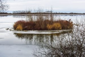 Insel im Speichersee