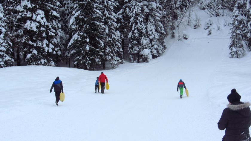 Der kleine Rodelhang am Kurvenlift