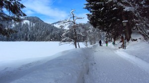 Am Spitzingsee-Kreuzweg