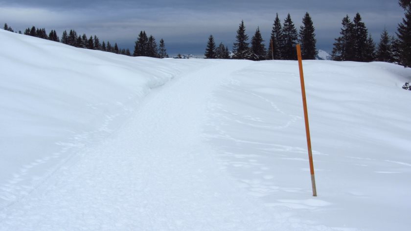 Ein schöner, leichter Winterwanderweg für die ganze Familie