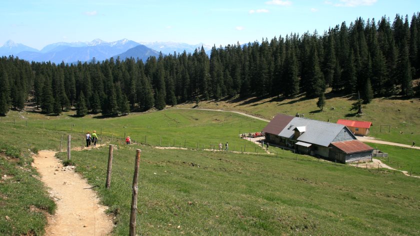 Auf dem Abstiegsweg vom Jochberg zur Jochbergalm Auf dem Abstiegsweg vom Jochberg zur Jochbergalm