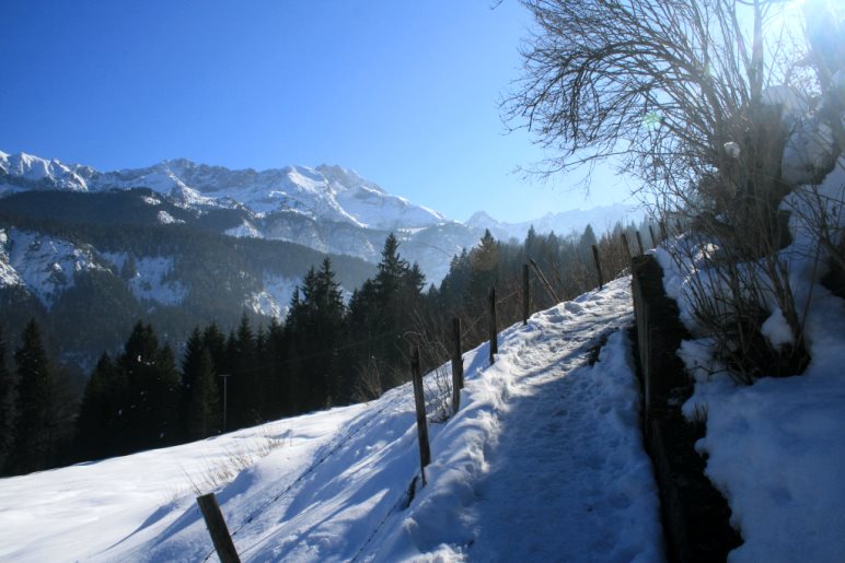 Die letzten Meter auf dem Weg zur Partnachalm