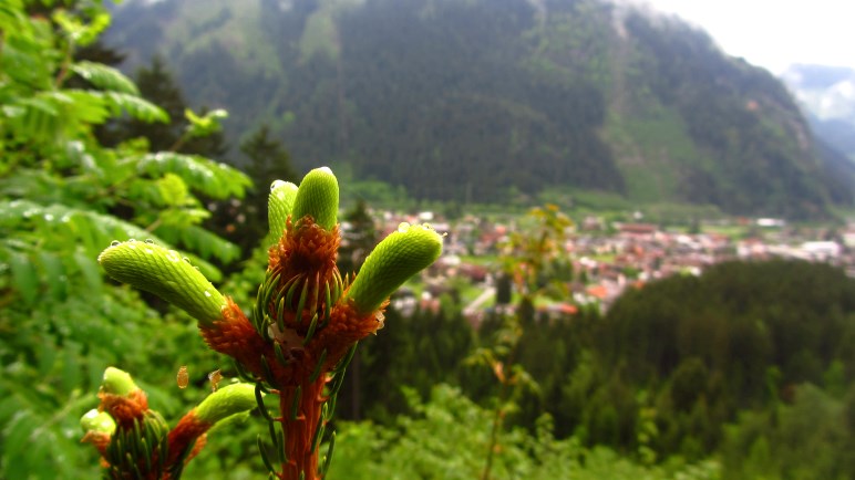 Wolkenverhangener Ausblick auf Mayrhofen