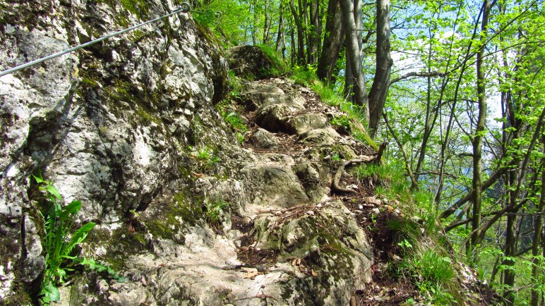 Ein wenig Bergsteigfeeling: der kurze, aber seilversicherte, Steig hinter dem Petersberg